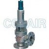 A40Y-64C，A40Y-64I，A40Y-100C，A40Y-100I，帶封閉散熱器彈簧全啟式安全閥