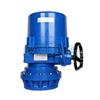 LQ4JS-200,LQ4JS-250,電動(dòng)執(zhí)行器