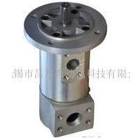 HSP55SMT16B250L,HSP55SMT16B300L,HSP55SMT16B330L,HSP55SMT16B380L,潤(rùn)滑油泵