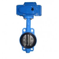 W-W1124-EK-DN50,W-W1124-EK-DN65,W-W1124-ET-DN80,W-W1124-ET-DN100,對(duì)夾中線蝶閥